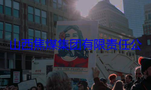 公司原副总山西焦煤集查团有限责任经理杨新华接受审查调